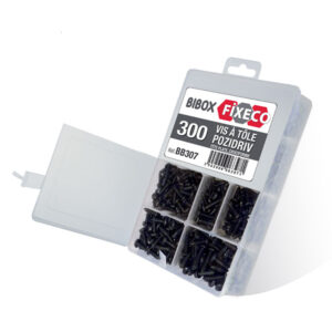 COFFRET 300 VIS TOLE