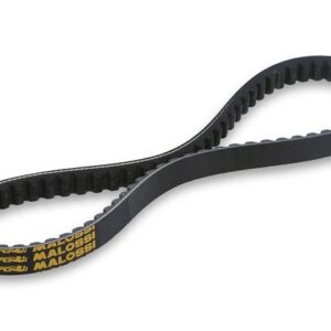 COURROIE MALOSSI BELT