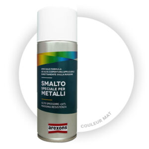 AEROSOL DE PEINTURE AREXONS