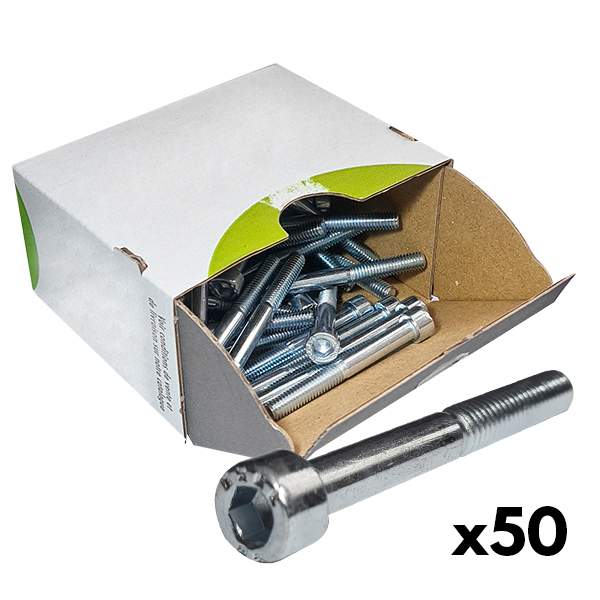 Boite de 50 VIS 6 PANS CREUX
