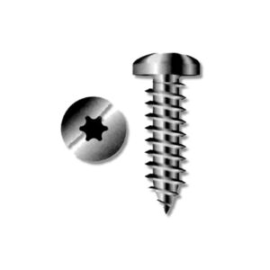 VIS TORX 3,5x19