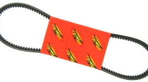 COURROIE IMPORT CRANTEE
