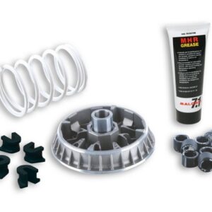 VARIATEUR MALOSSI