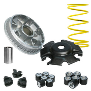 VARIATEUR MALOSSI 5113134