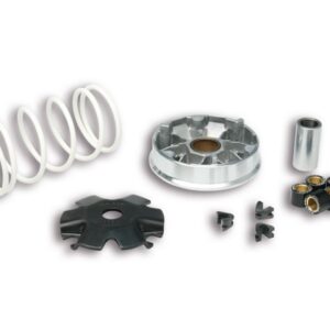 VARIATEUR MALOSSI MHR