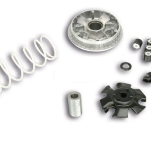 VARIATEUR MALOSSI