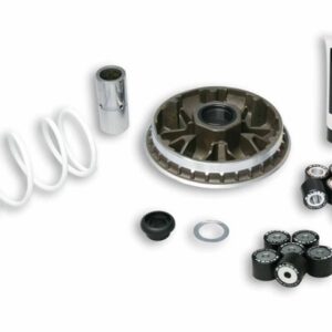 VARIATEUR MALOSSI