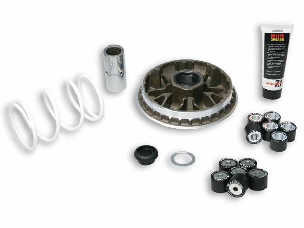 VARIATEUR MALOSSI