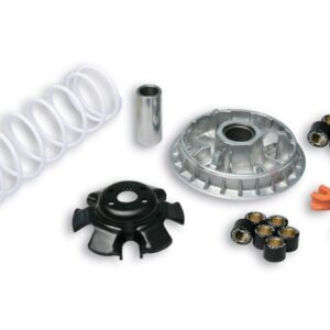 VARIATEUR MALOSSI