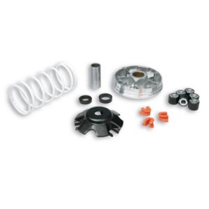 VARIATEUR MALOSSI