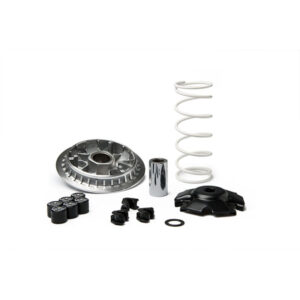 VARIATEUR MALOSSI