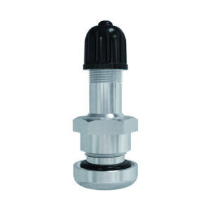 VALVE TUBELESS M1533