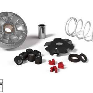 VARIATEUR MALOSSI