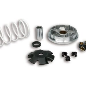 VARIATEUR MALOSSI
