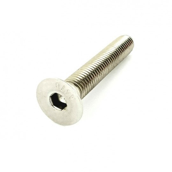 VIS 6 PANS CREUX FRAISEE 6x20