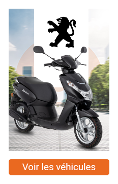 Catalogue Peugeot scooter