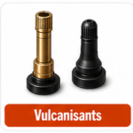 Vulcanisants